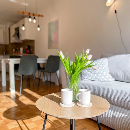 Helles 2 Mit Balkon Und Tiefgarage Apartment Bad Neuenahr-Ahrweiler